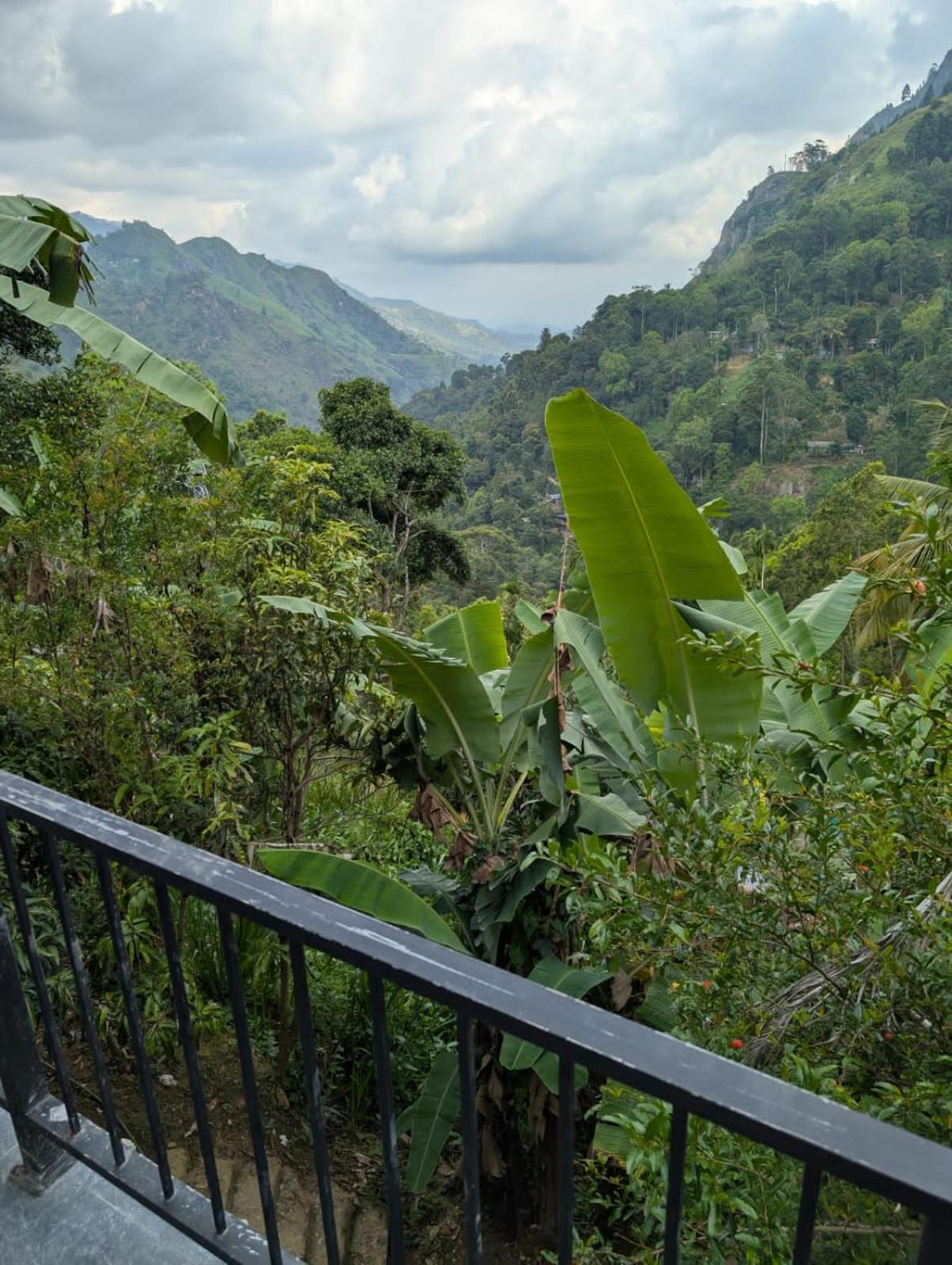 Chamodya Home Stay Ella Εξωτερικό φωτογραφία